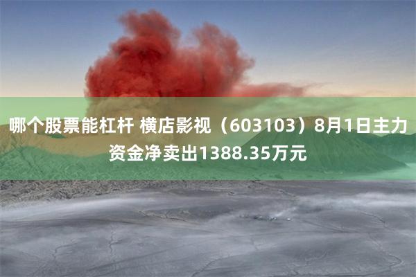 哪个股票能杠杆 横店影视（603103）8月1日主力资金净卖出1388.35万元