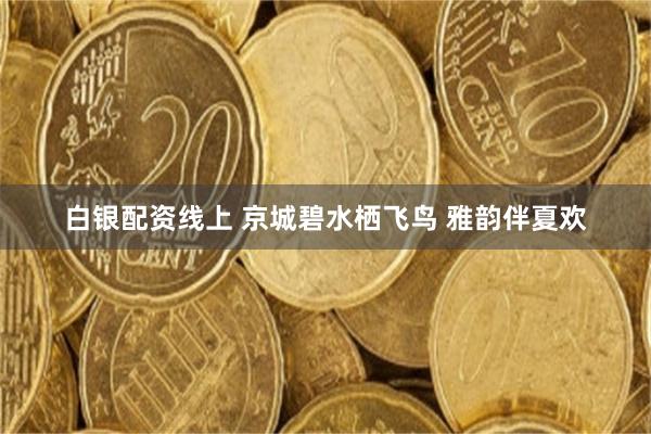 白银配资线上 京城碧水栖飞鸟 雅韵伴夏欢