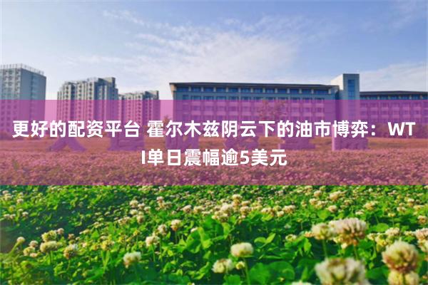 更好的配资平台 霍尔木兹阴云下的油市博弈：WTI单日震幅逾5美元