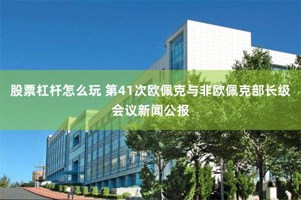 股票杠杆怎么玩 第41次欧佩克与非欧佩克部长级会议新闻公报