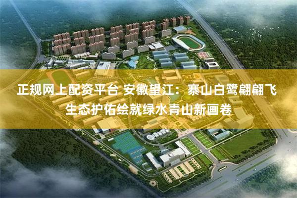 正规网上配资平台 安徽望江：寨山白鹭翩翩飞 生态护佑绘就绿水青山新画卷