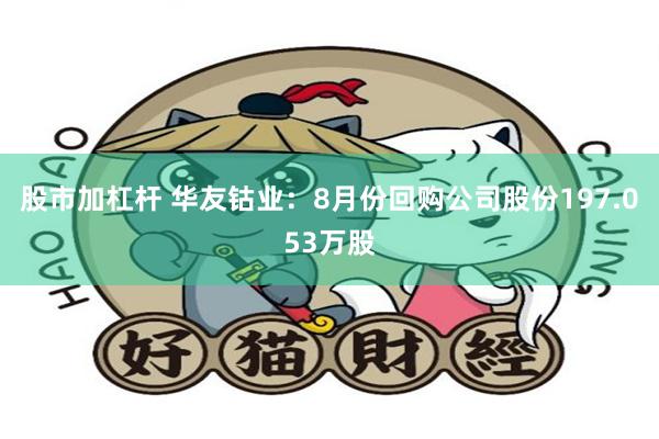 股市加杠杆 华友钴业：8月份回购公司股份197.053万股